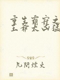 重生霸宠之摄政王爷太凶猛