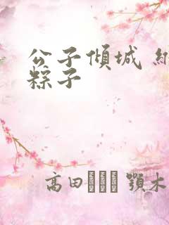 公子倾城 维和粽子