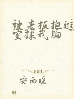 被老板抱进办公室揉我胸