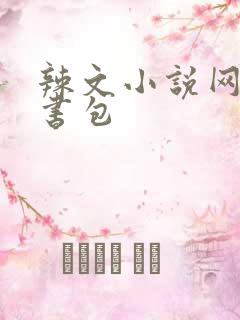 辣文小说网第二书包