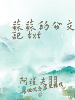 苏苏的公交车日记 txt