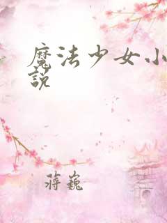 魔法少女小圆小说