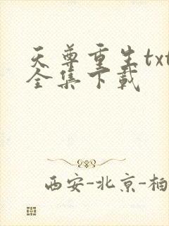 天尊重生txt全集下载