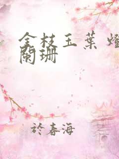 金枝玉叶 灯火阑珊