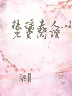 扶摇夫人.小说免费阅读