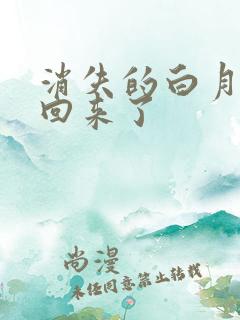 消失的白月光又回来了