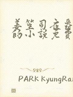 姜笙司夜爵顾念的小说免费阅读