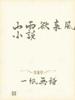 山雨欲来风满楼小说