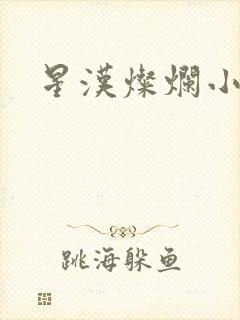 星汉灿烂小说