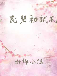 民儿初试风雨录
