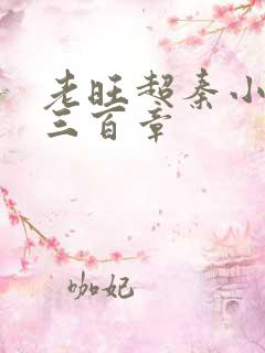 老旺超秦小雨第三百章