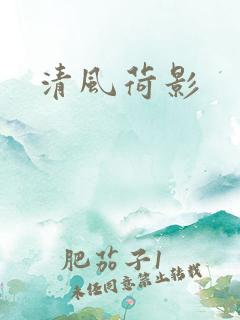 清风荷影