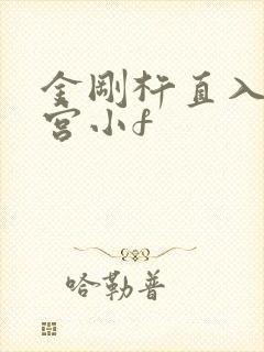 金刚杵直入莲花宫小f