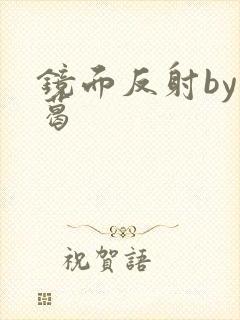 镜面反射by九葛