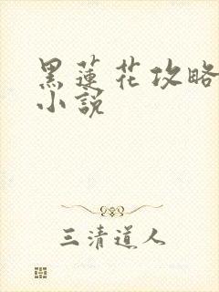 黑莲花攻略手册小说