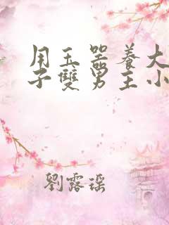 用玉器养大的皇子双男主小说