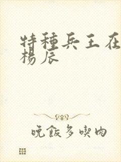 特种兵王在都市杨辰