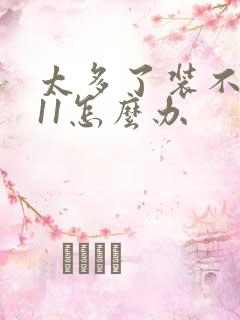 太多了装不下h11怎么办