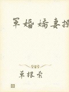 军婚 娇妻撩人