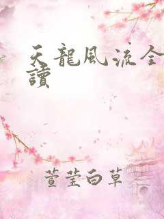 天龙风流全文阅读