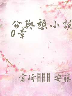 公与憩小说400章