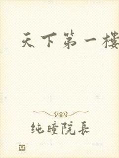 天下第一楼高清