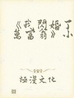 《我闪婚了个亿万富翁》小说