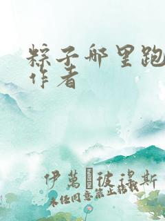 粽子哪里跑小说作者