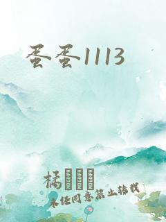 蛋蛋1113