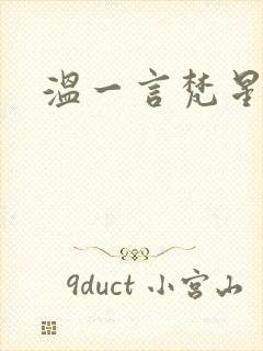温一言梵星小说
