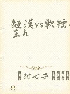 糙汉vs软糯女主h