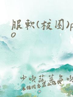 服软(校园)po