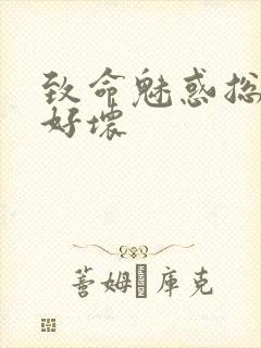 致命魅惑总裁你好坏