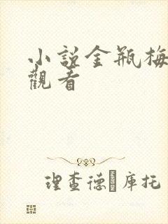 小说金瓶梅在线观看