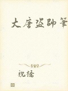 大唐盗帅笔趣阁