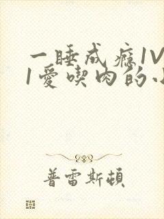 一睡成瘾1V 1爱吃肉的小丸子