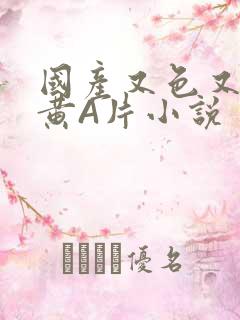 国产又色又爽又黄A片小说