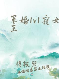 军婚1v1宠女主