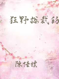 狂野总裁的女人