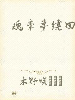 魂牵梦绕回大清