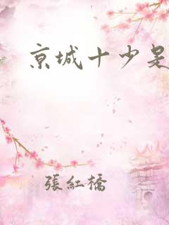 京城十少是谁