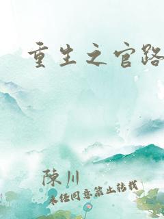 重生之官路风流