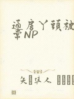 通房丫头被肉日常NP