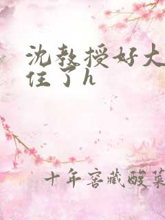 沈教授好大含不住了h