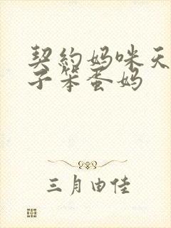 契约妈咪天才儿子笨蛋妈