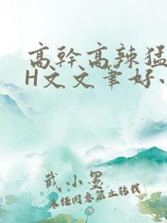 高干高辣猛高辣H文文笔好小说