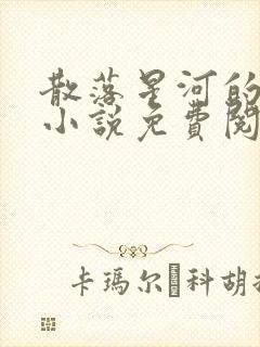 散落星河的记忆小说免费阅读全文