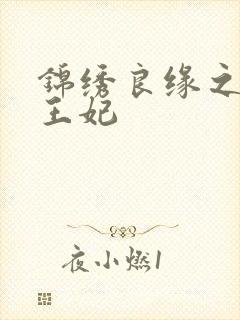 锦绣良缘之北地王妃