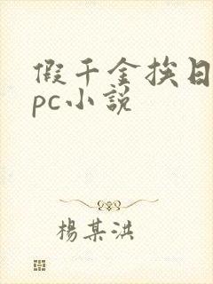 假千金挨日记npc小说
