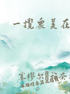 一揽众美在三国